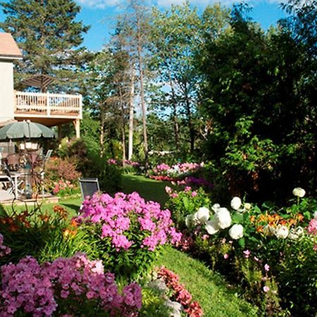 Gite Au Pied Du Courant De Gilbert Desjardins Мон-Лорие Екстериор снимка